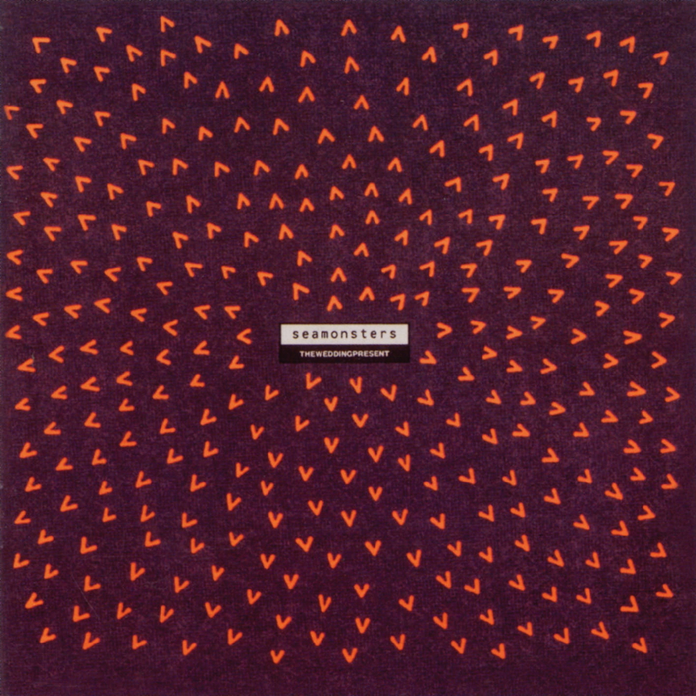 The Wedding Present Seamonsters album (1991) - this tour was the first ever gig I went to. - Leeds Met. May 1991